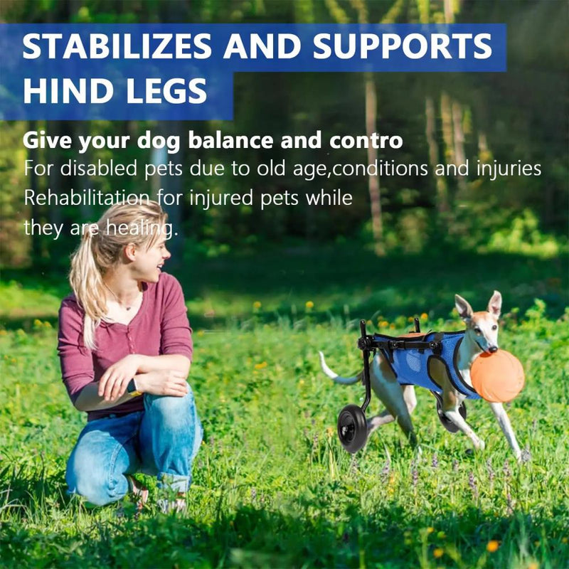 Adjustable dog wheelchair for hind legs with hip support, mobility aid for small pets hind legs