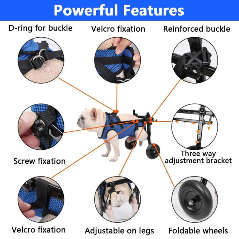 Adjustable dog wheelchair for hind legs with hip support, mobility aid for small pets hind legs