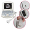 Portable ultrasound scanner with convex probe, fully digital imaging on a 10.4-inch laptop