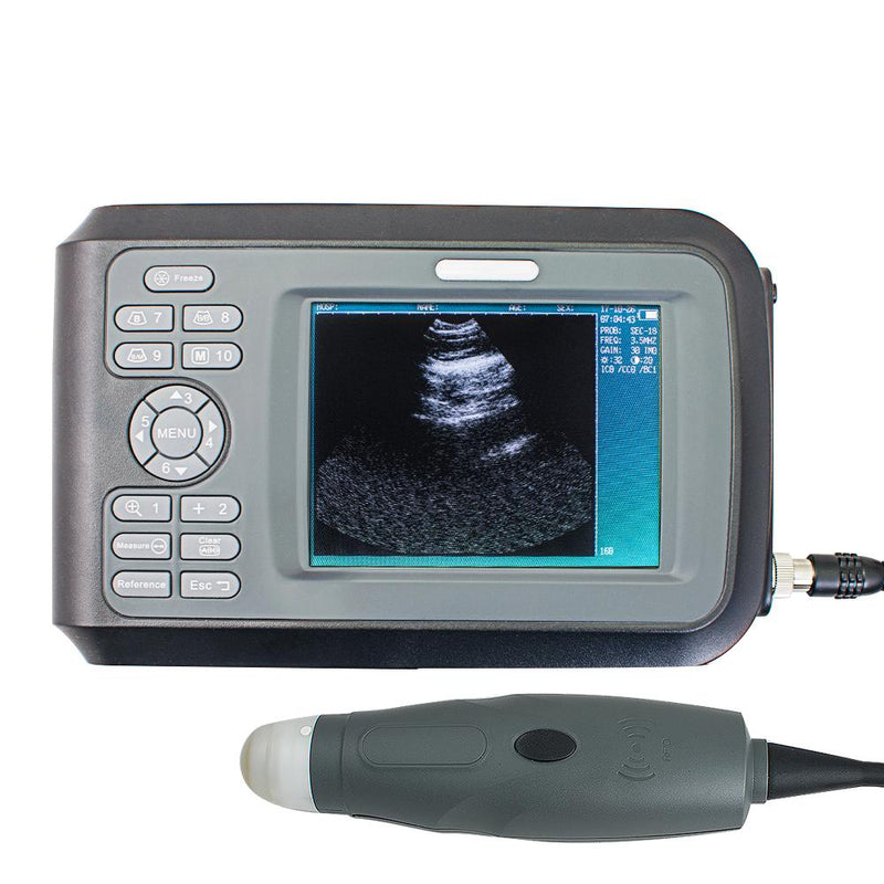 Veterinary portable ultrasound scanners handheld, wrist-mounted, sector probes, digital imaging