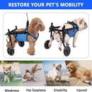 Adjustable dog wheelchair for hind legs with hip support, mobility aid for small pets hind legs