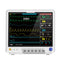 15" Portable Vital Signs Monitor